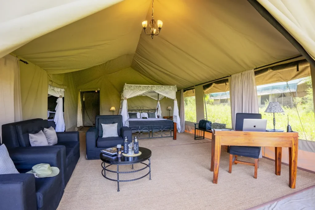 Luxury Tanzania Safari Packages