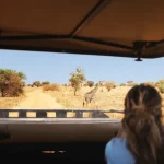 Tanzania Safari Activities