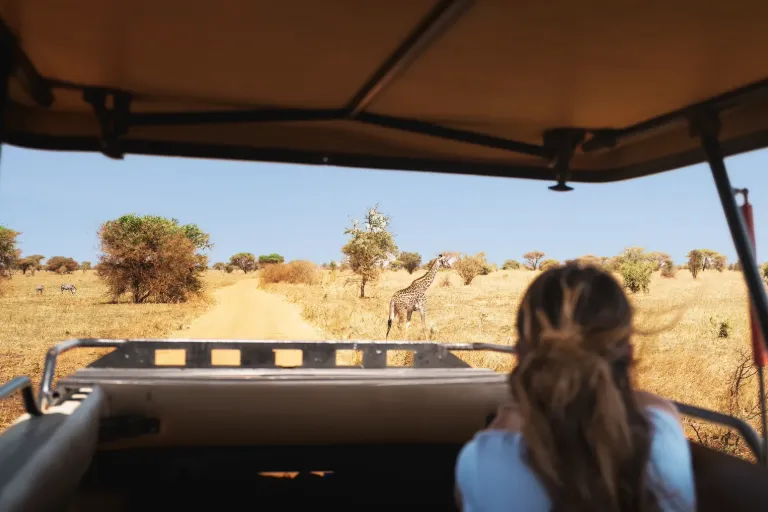 Must-Try Activities in Tanzania for First-Time Travelers In 2025