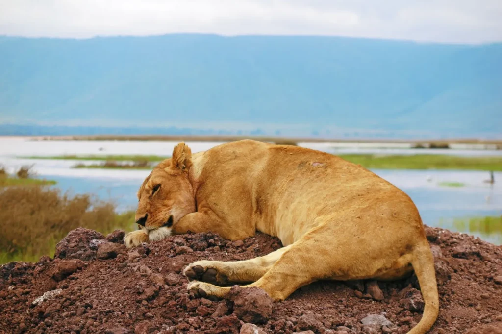 Ngorongoro Crater