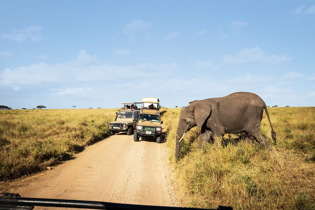Tanzania Safari Packages
