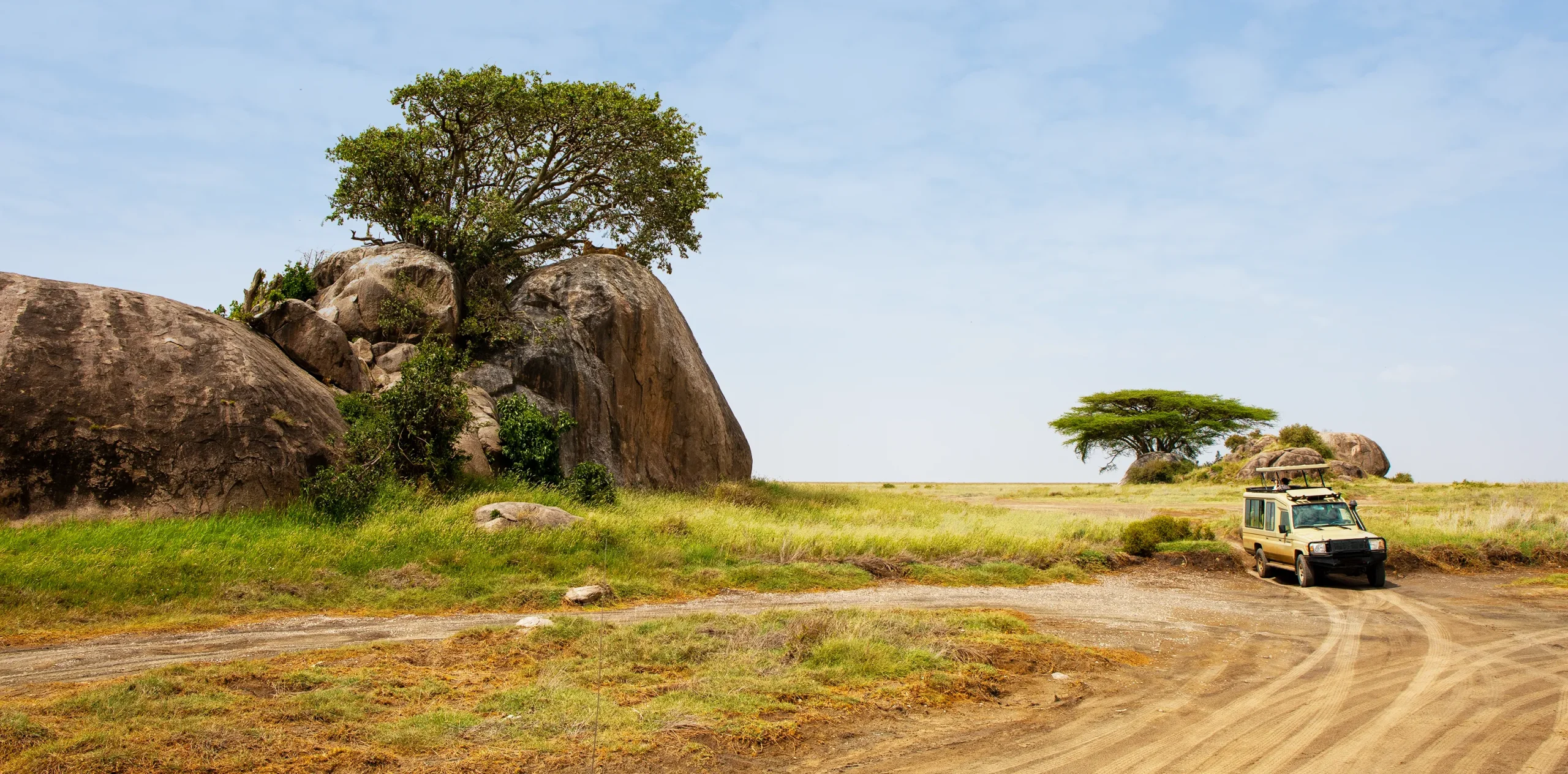 Make Your Way to Serengeti for A Longer and Remote Stay Experience!