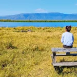 Safari in Ngorongoro