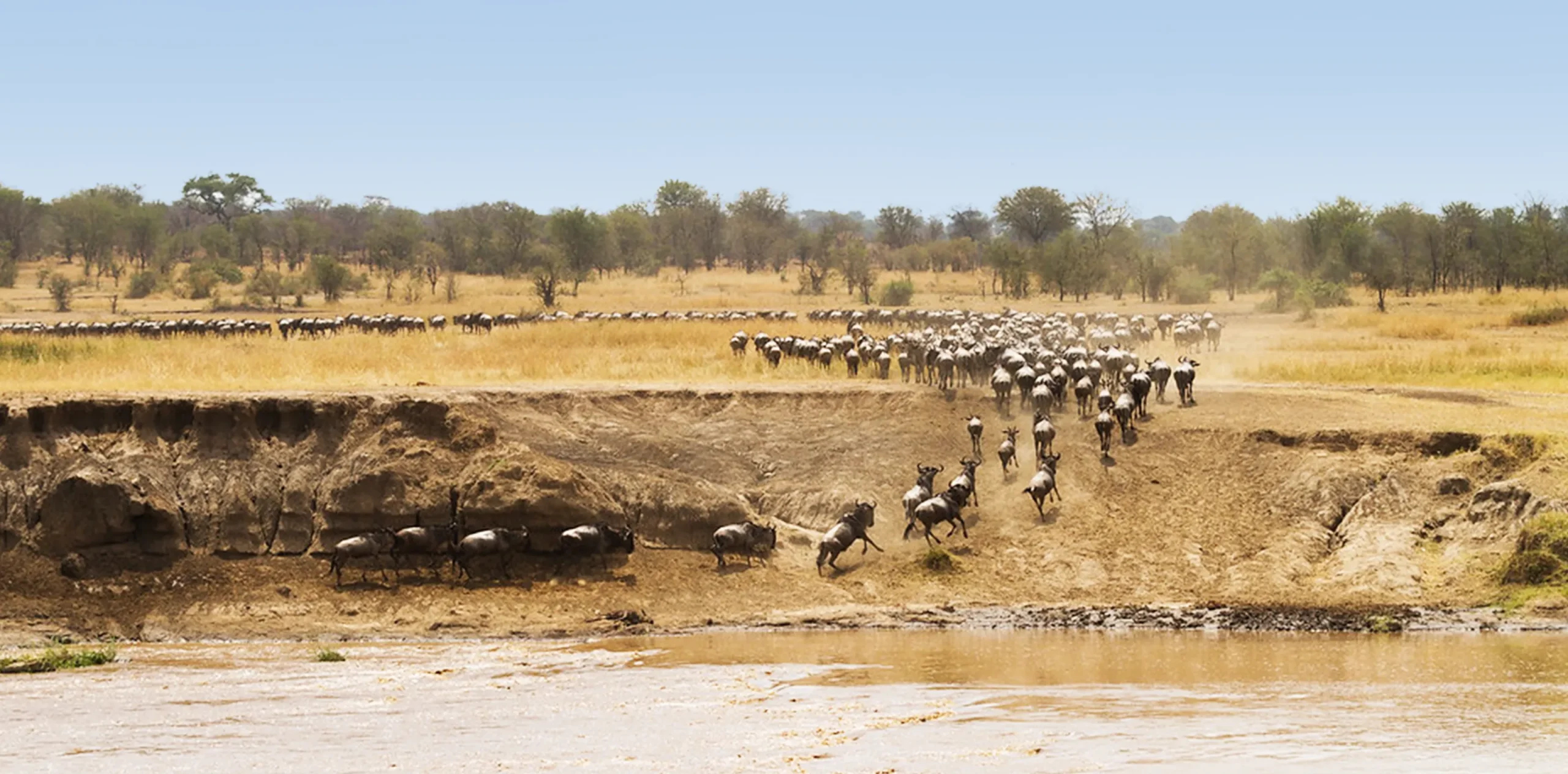 Why Should I Visit Serengeti National Park?
