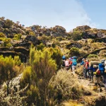 Kilimanjaro Travel Insurance