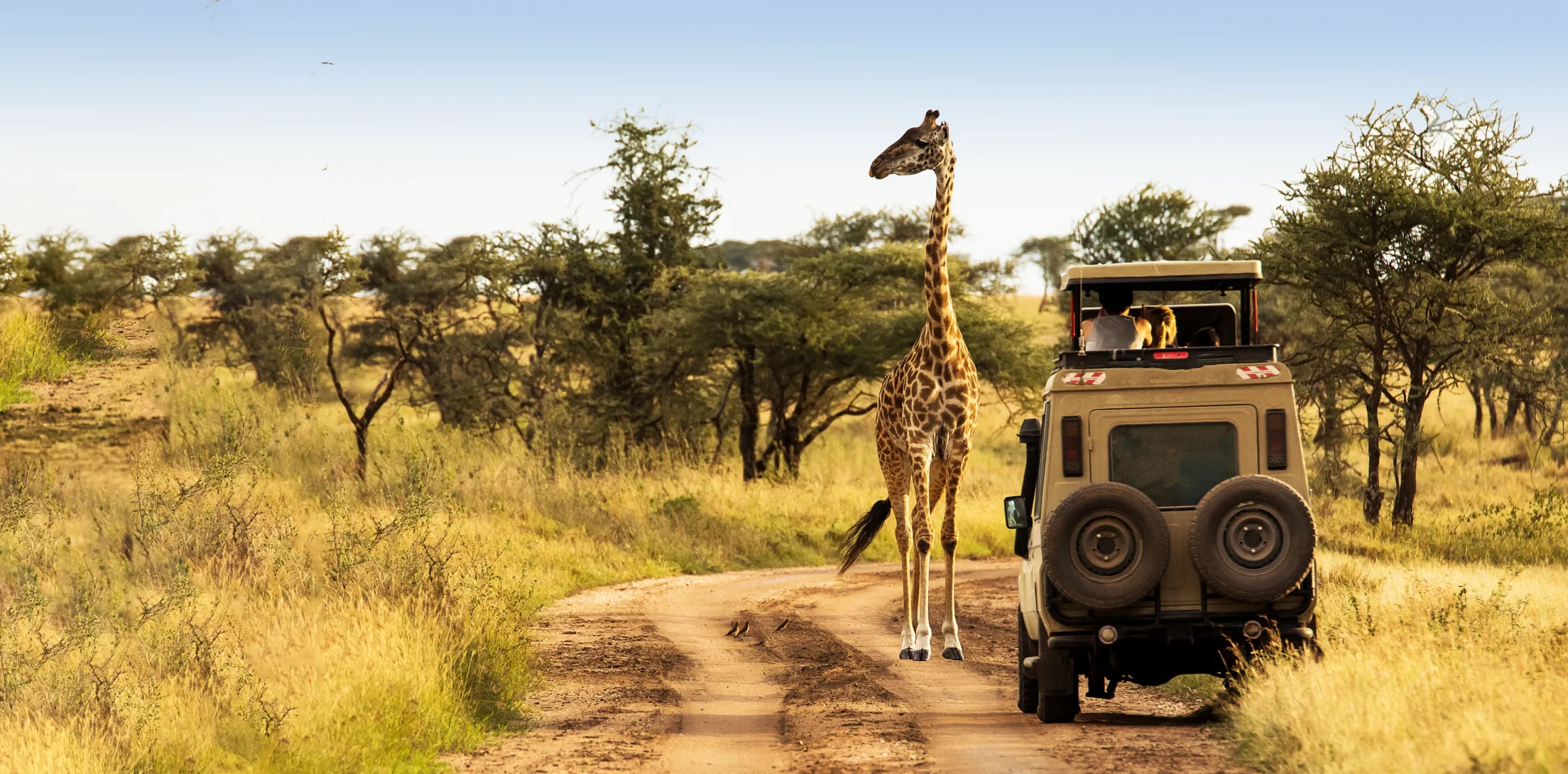 2025 vs. 2024: How Tanzania Travel Costs Are Changing and What to Expect
