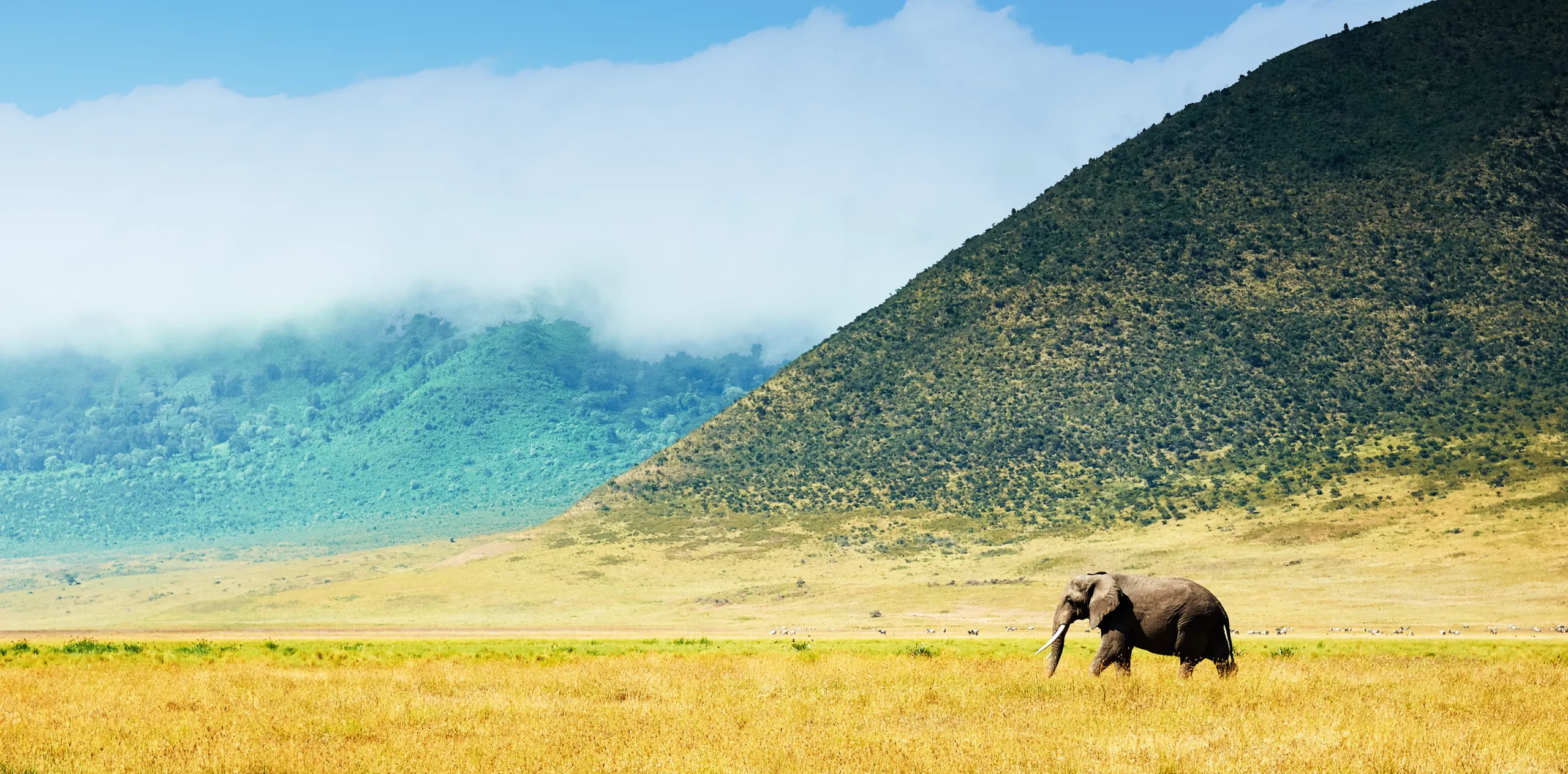 The Lake Manyara National Park or Ngorongoro Crater – Which One to Choose on Safaris in Tanzania?