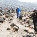 Kilimanjaro Travel Insurance