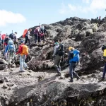 Kilimanjaro Travel Insurance