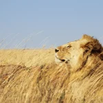 Serengeti National Park