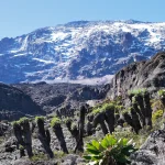 Kilimanjaro Height