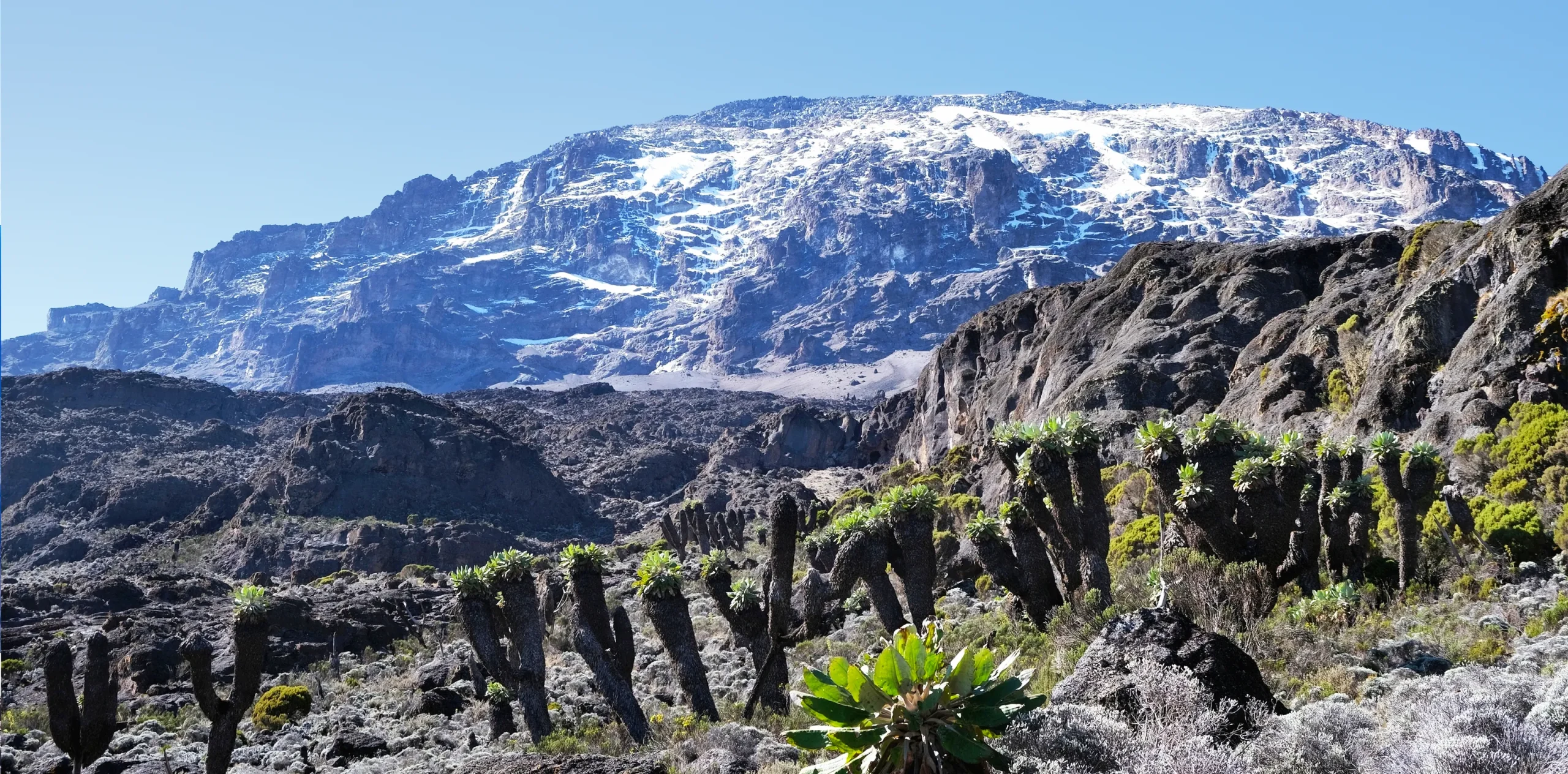How High Is Mount Kilimanjaro? Everything You Need to Know