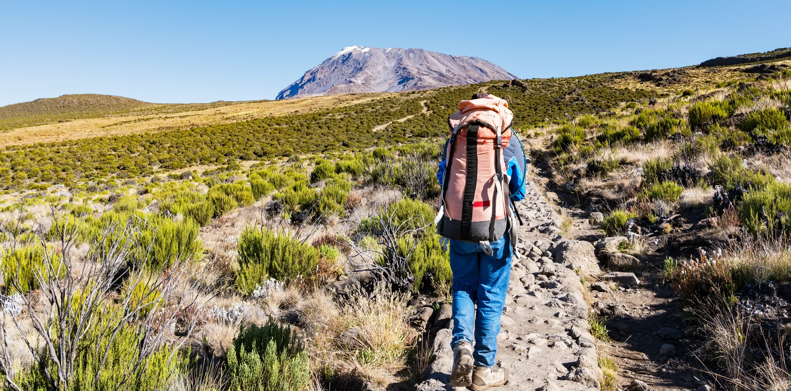 Mount Kilimanjaro – Summiting the Best of The Seven Summits!