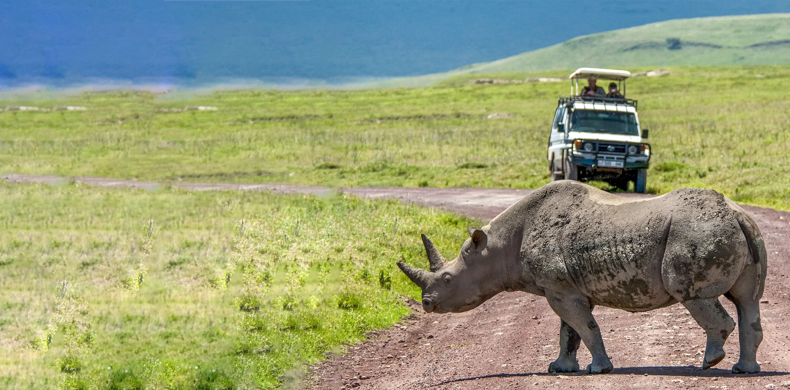 What Are The Differences Between Serengeti National Park And Ngorongoro Crater