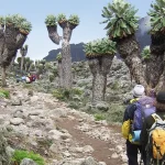 Kilimanjaro Routes