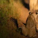 Serengeti National Park