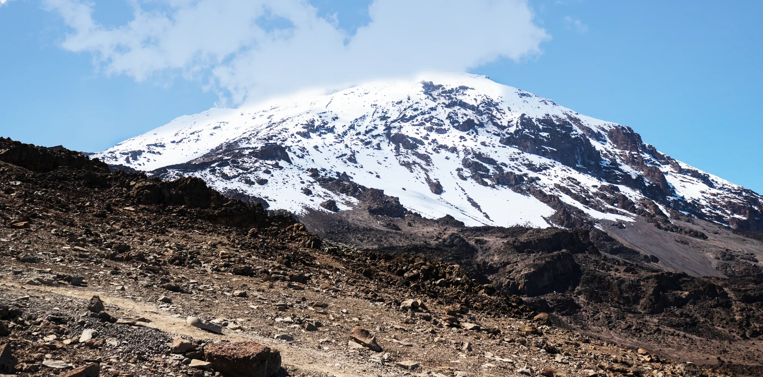Where Does Kilimanjaro Rank in Height?