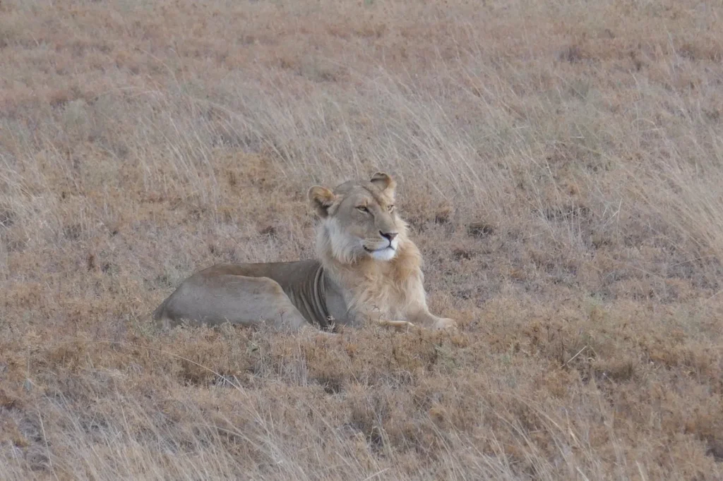 Serengeti National Park