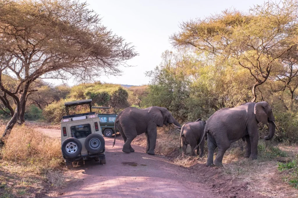 Tanzania National Park
