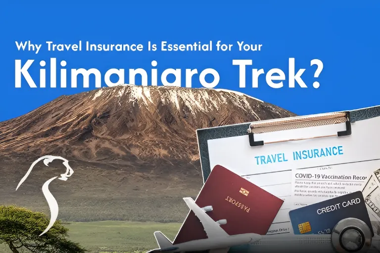 Travel Insurance To Climb Kilimanjaro