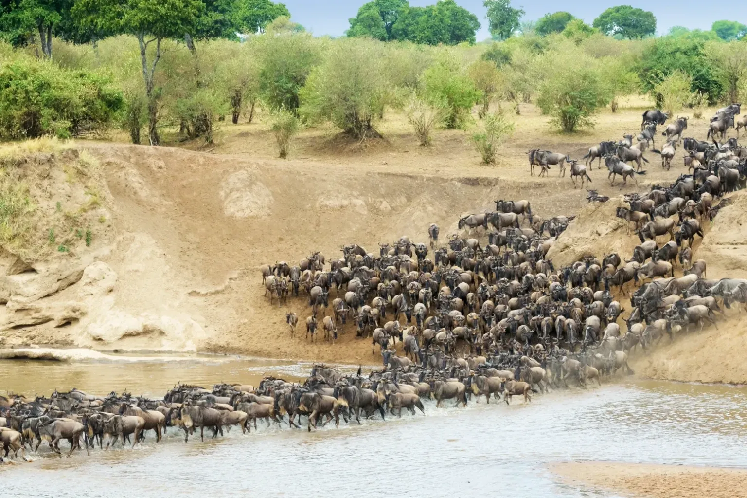 Tanzania Travel Trends 2025