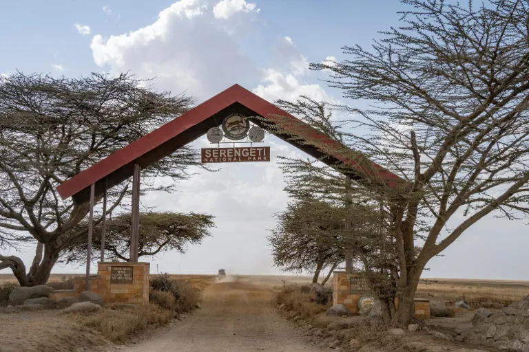 What Is the Entrance Fee to Serengeti National Park?