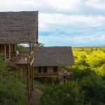 Tanzania Luxury Safari