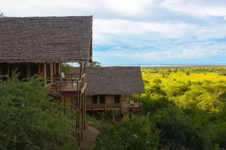 What Makes a Tanzania Luxury Safari Attractive?