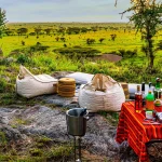 Luxury Safari in Tanzania