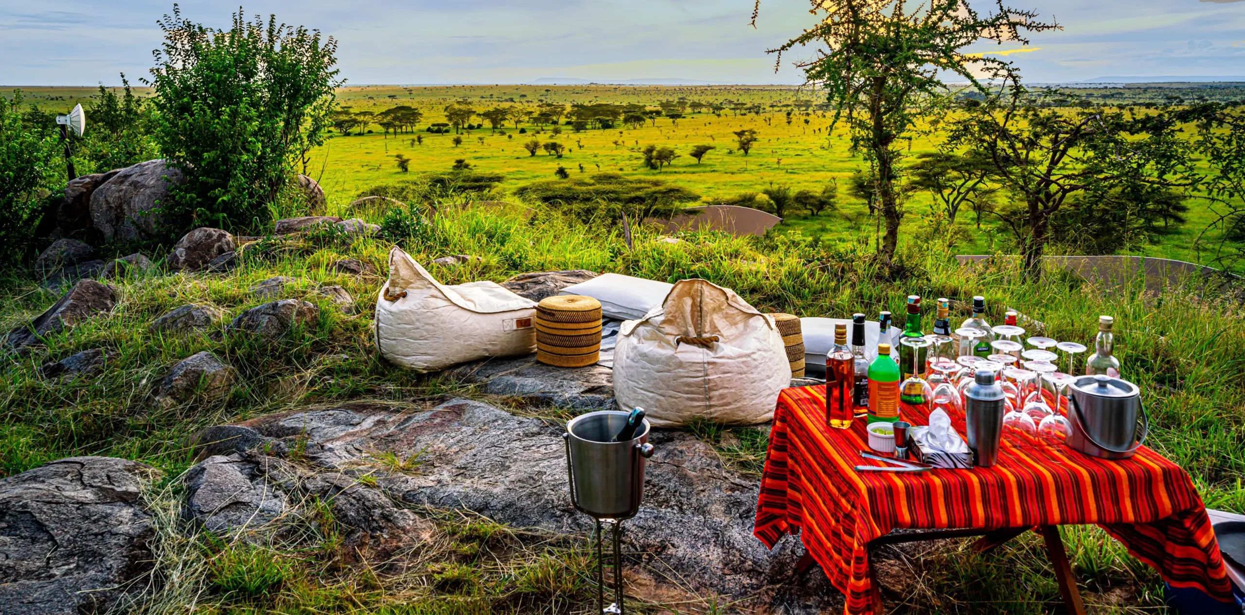 What to Expect on a Luxury Safari in Tanzania?