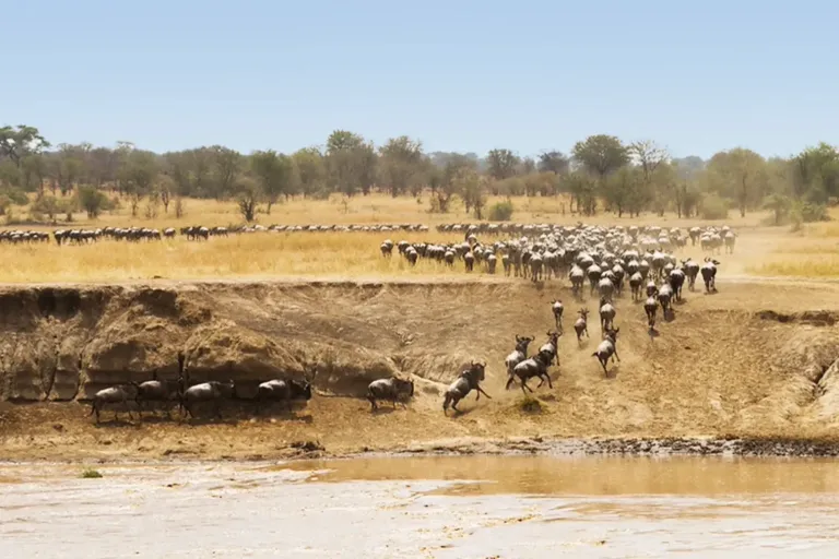 Serengeti National Park