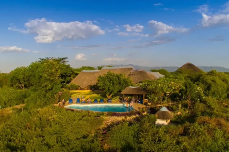 Why Tanzania’s Luxury Safaris are More Than Just a Vacation: 10 Essential Insights