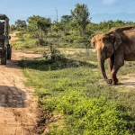 Things To Do in Tanzania