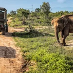 Things to do in Tanzania
