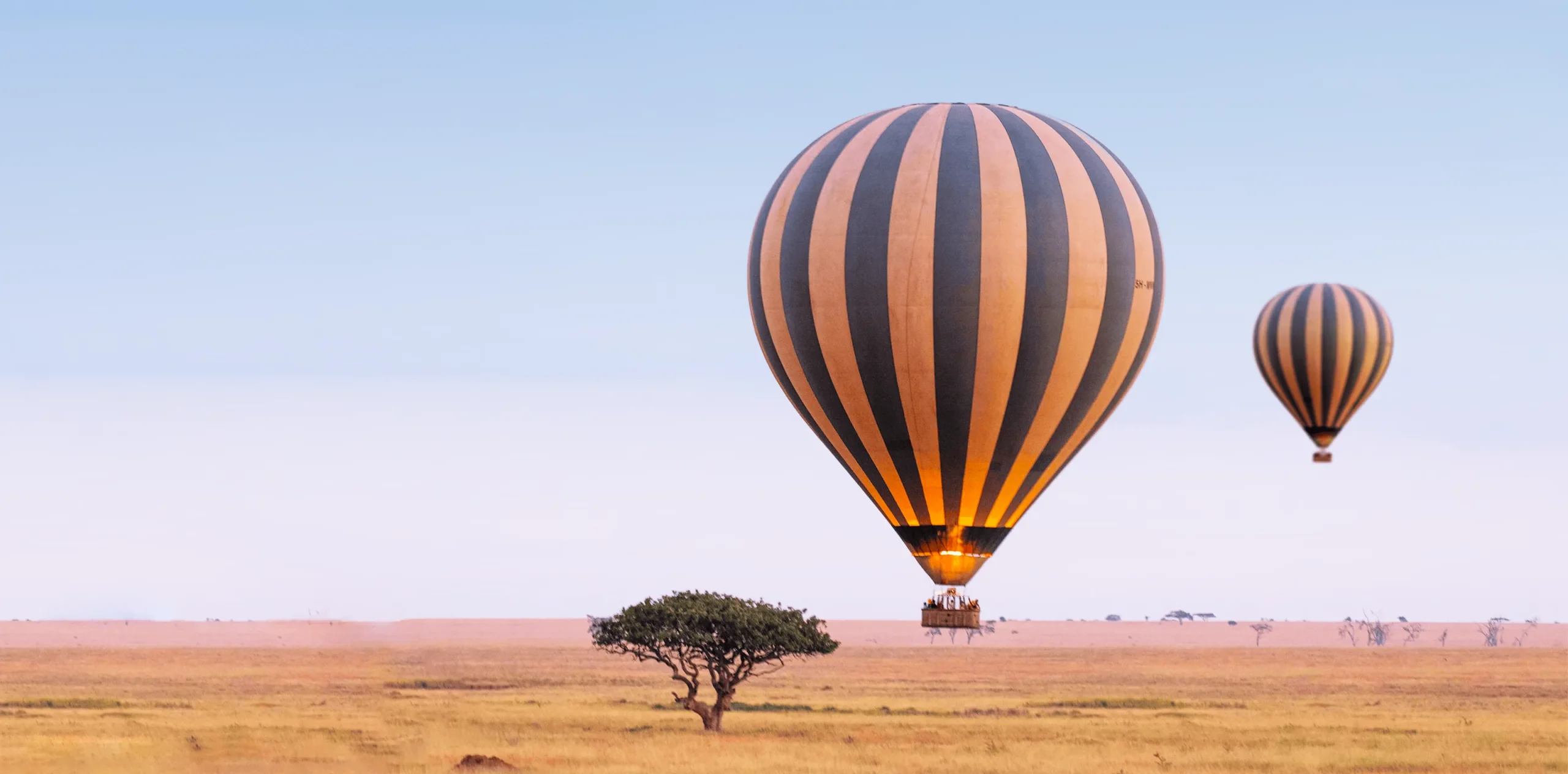 High Season Vs. Low Season Tanzania Safari – Time Can Make the Difference!