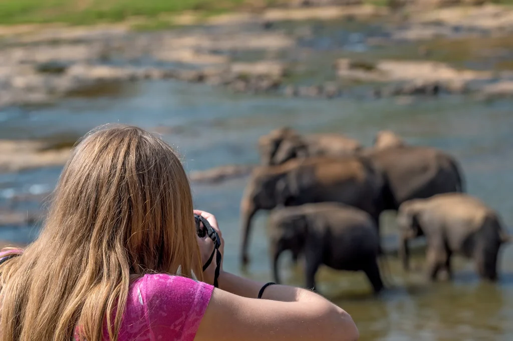 Tanzania Safari Cost