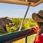 Tanzania National Parks