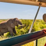 National Park Vs Game Reserve