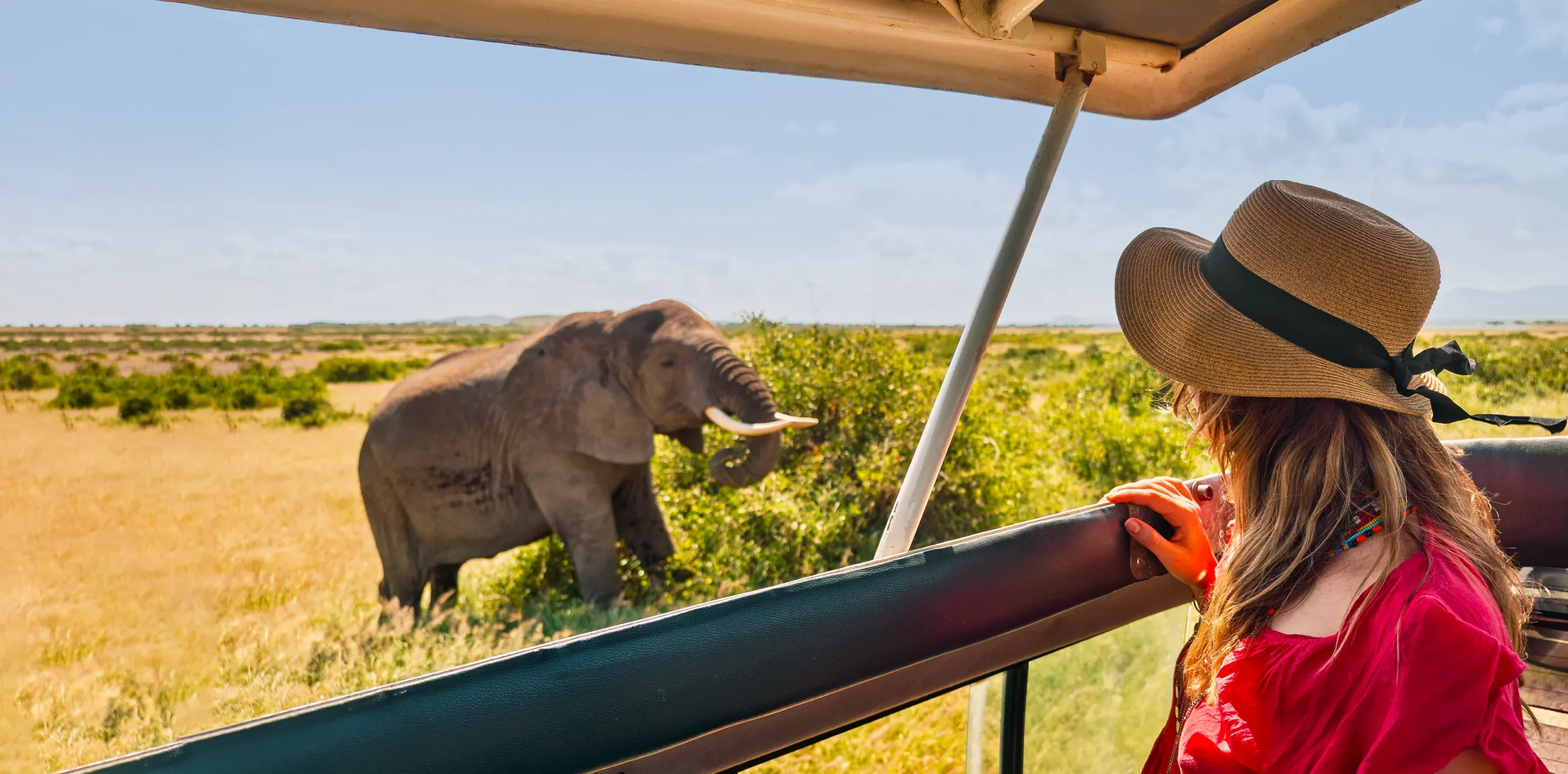 National Parks Vs Game Reserves – Which One Is the Best for Tanzania Safaris?