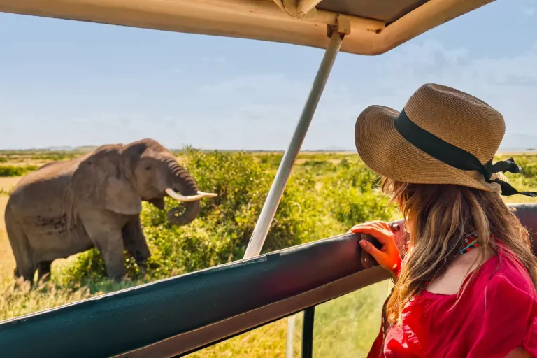 Tanzania National Parks