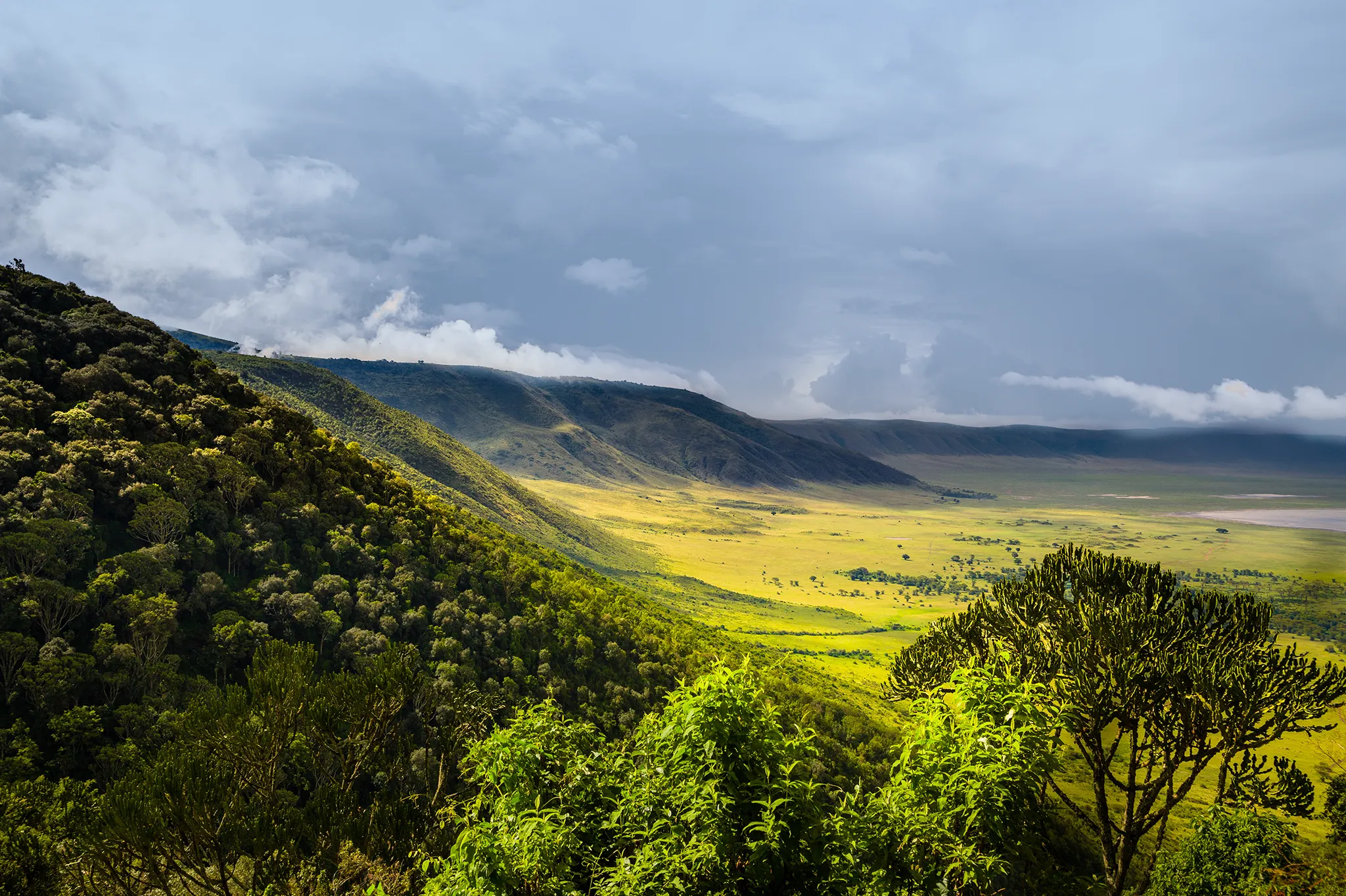 Get Into The Crater With The Ngorongoro Safari Tours