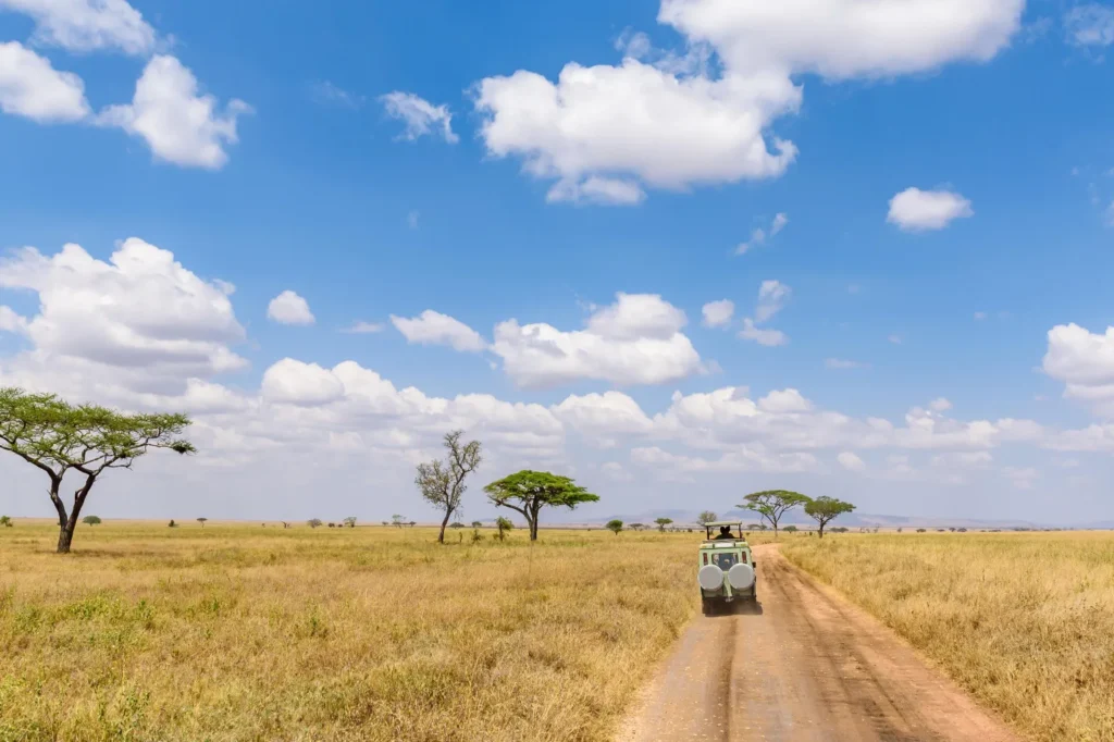 Serengeti National Park
