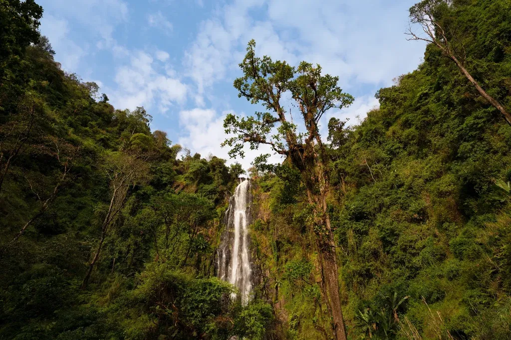 Tanzania Safari Tours