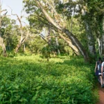 Things To Do In Moshi