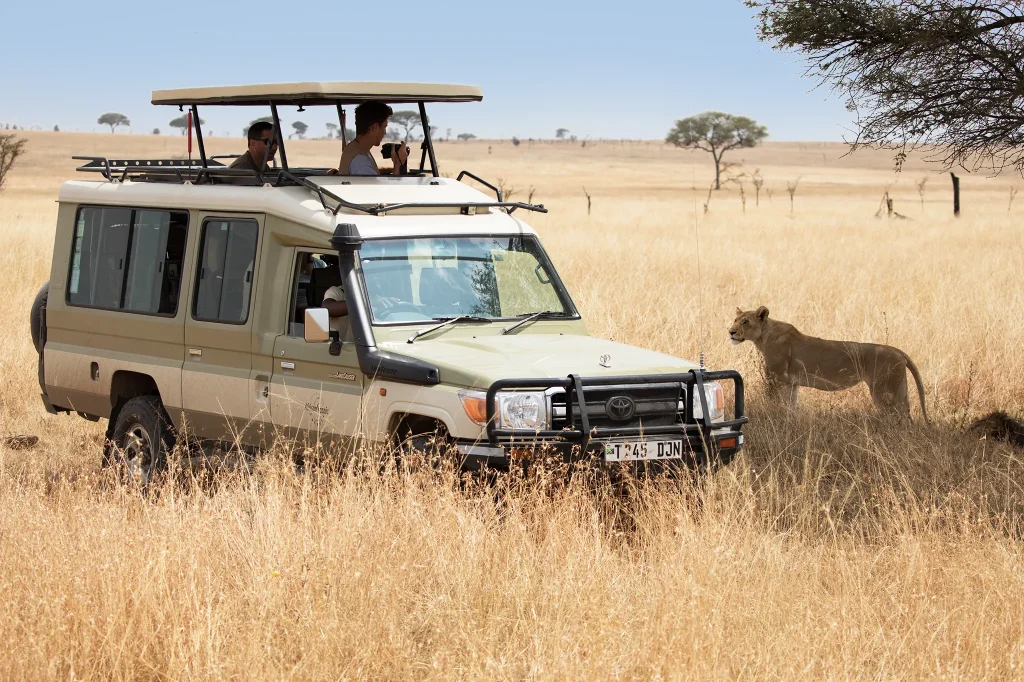 Serengeti Game Drive