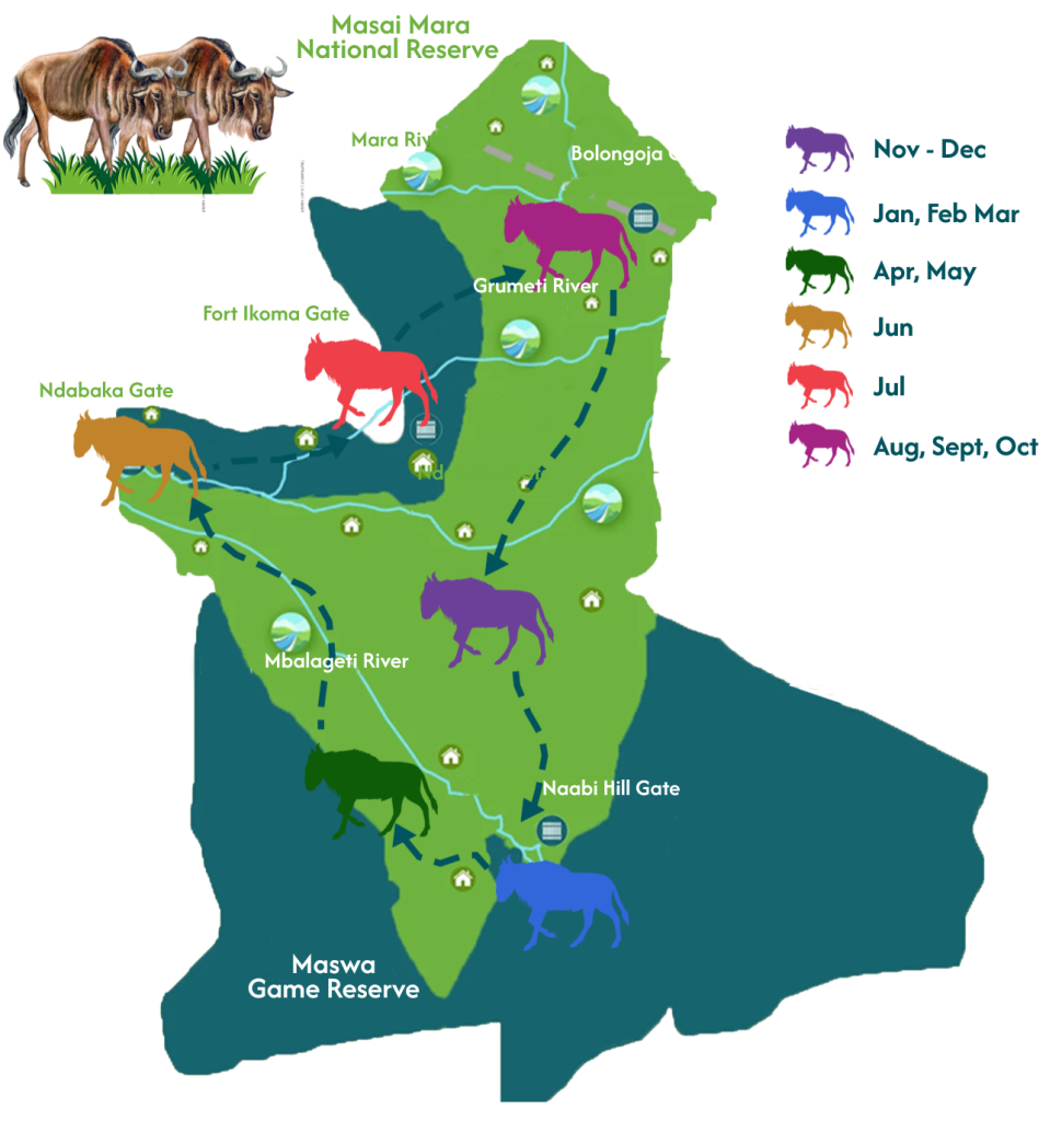 Serengeti Wildebeest Migrations