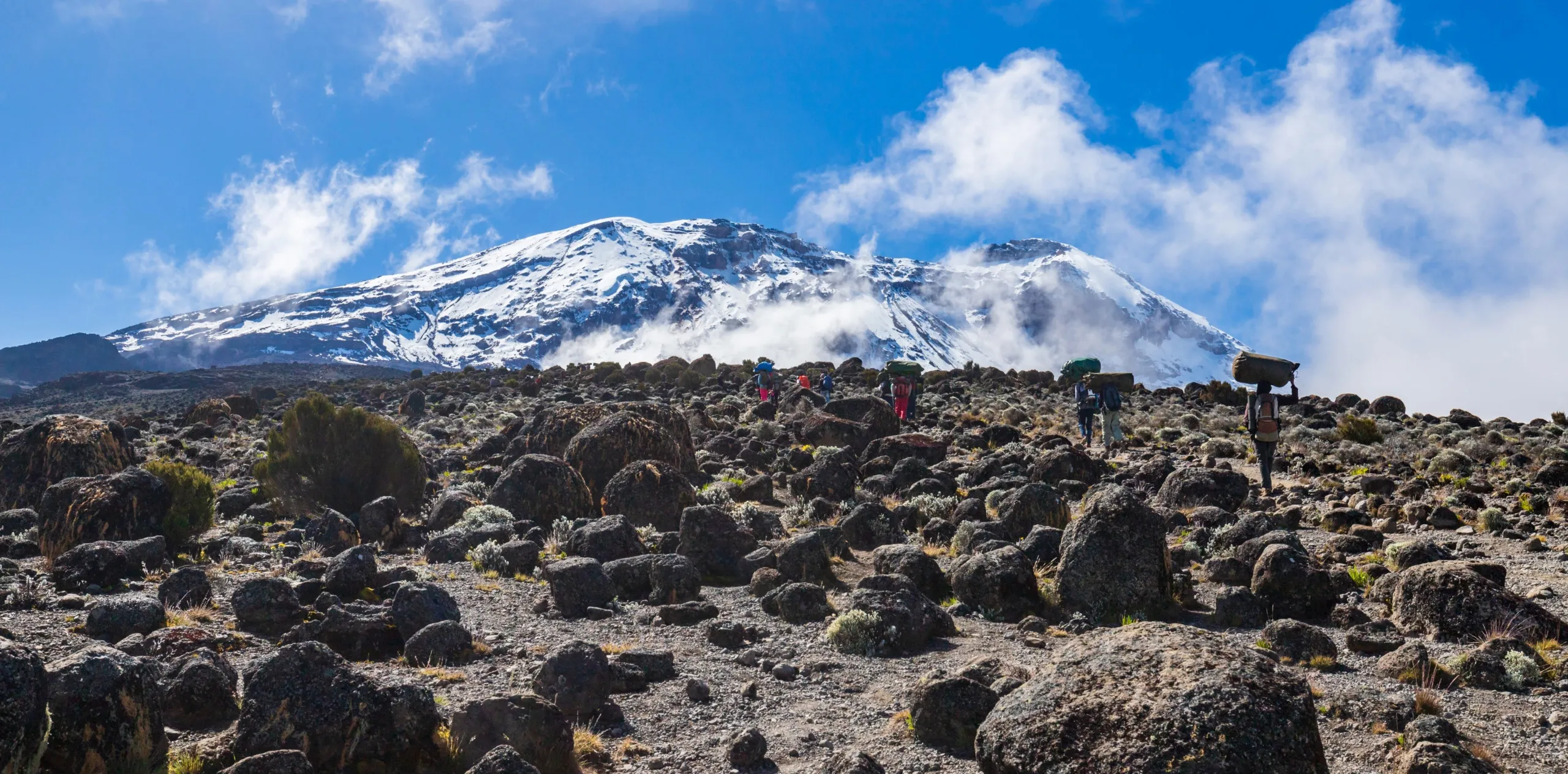 7 Reasons to Choose the Lemosho Route for Your Kilimanjaro Trek