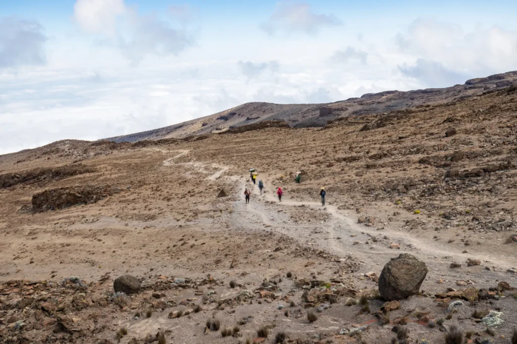 Kilimanjaro Descent