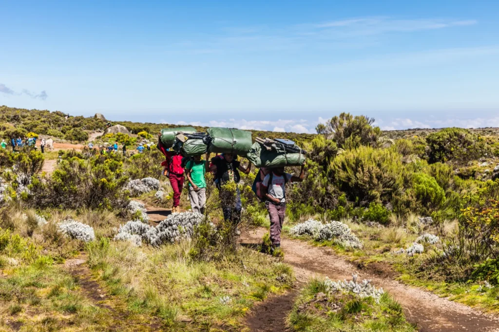 Rongai Route