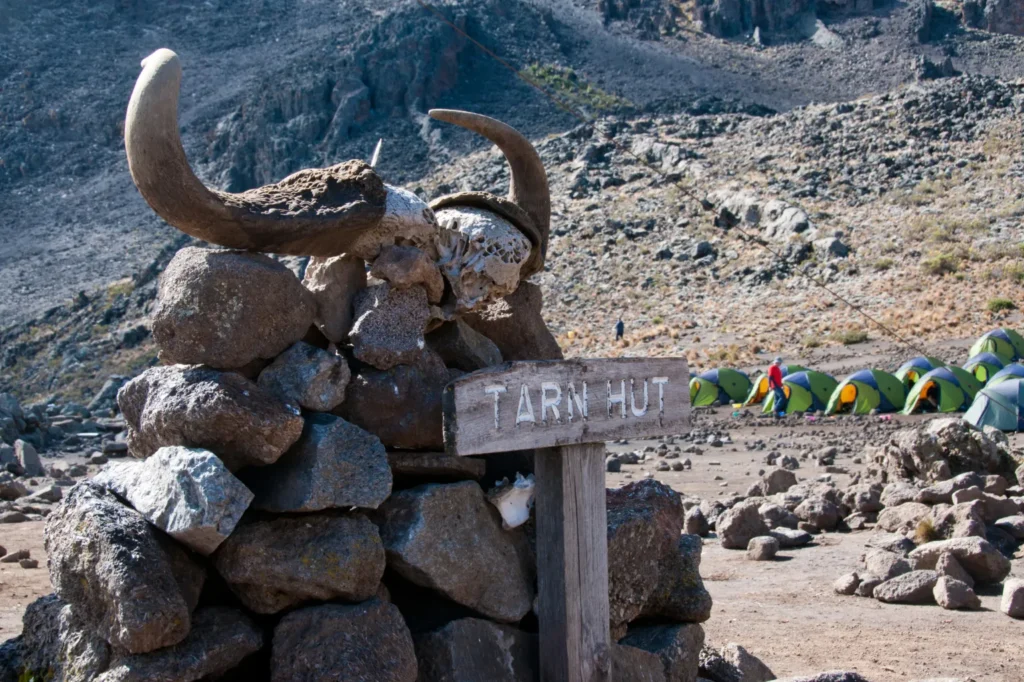 Mawenzi Tarn Camp